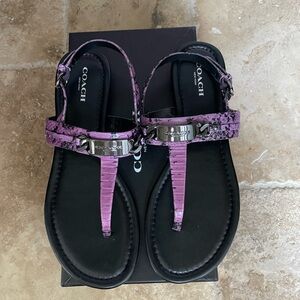 NWOT Coach sandal in box never worn size 7 in purple/black color